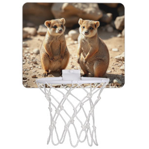 Australian Quokka Twins, Mini Basketball Hoop
