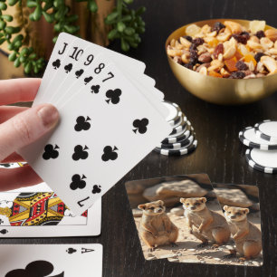 Australian Quokka Twins, Poker Cards
