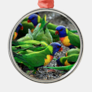 Australian Rainbow Lorikeet Birds Metal Ornament