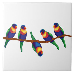 Australian rainbow lorikeets ceramic tile