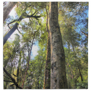 Australian Rainforest Eucalyptus Gum Trees Cloth Napkin
