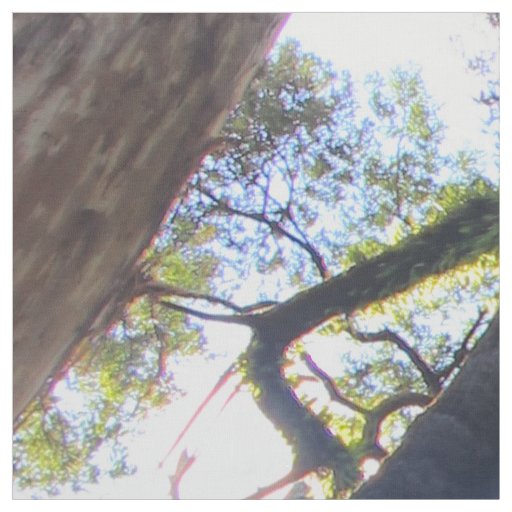 Australian Rainforest Eucalyptus Gum Trees Fabric