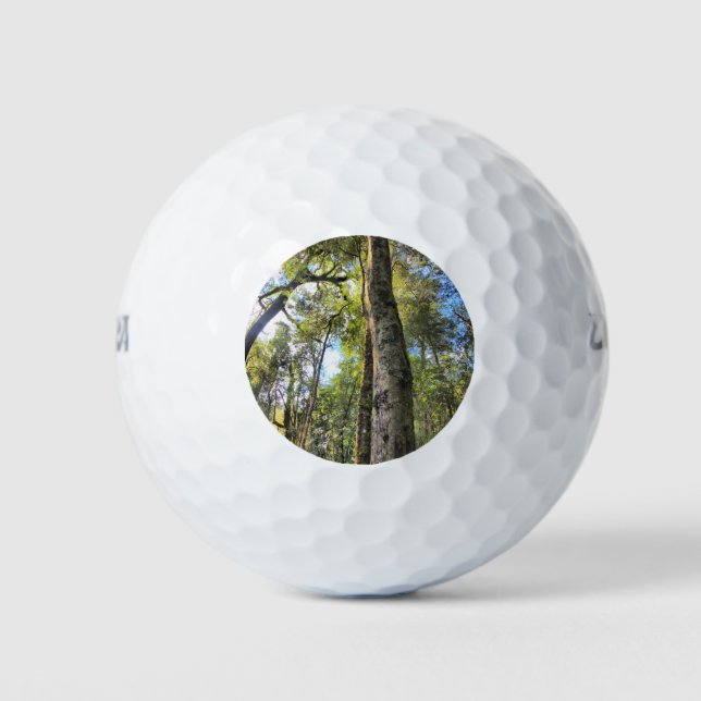 Australian Rainforest Eucalyptus Gum Trees Golf Balls (Front)