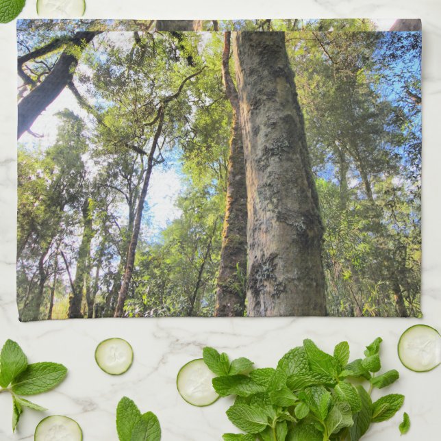 Australian Rainforest Eucalyptus Gum Trees Kitchen Towel (Folded)