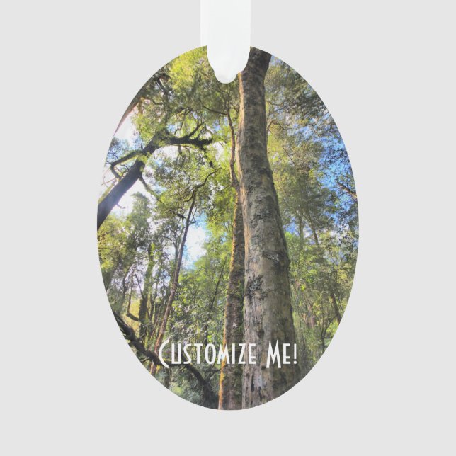 Australian Rainforest Eucalyptus Gum Trees Ornament (Front)