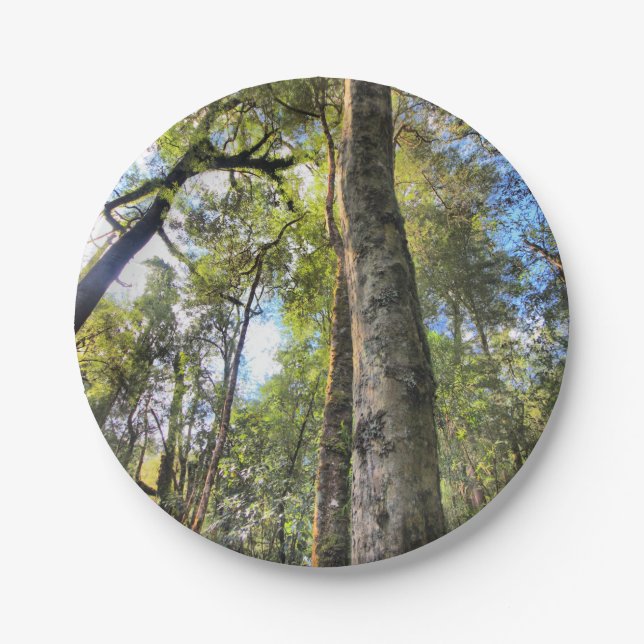 Australian Rainforest Eucalyptus Gum Trees Paper Plates (Front)