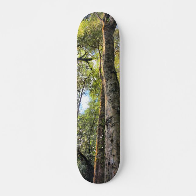 Australian Rainforest Eucalyptus Gum Trees Skateboard Deck (Front)