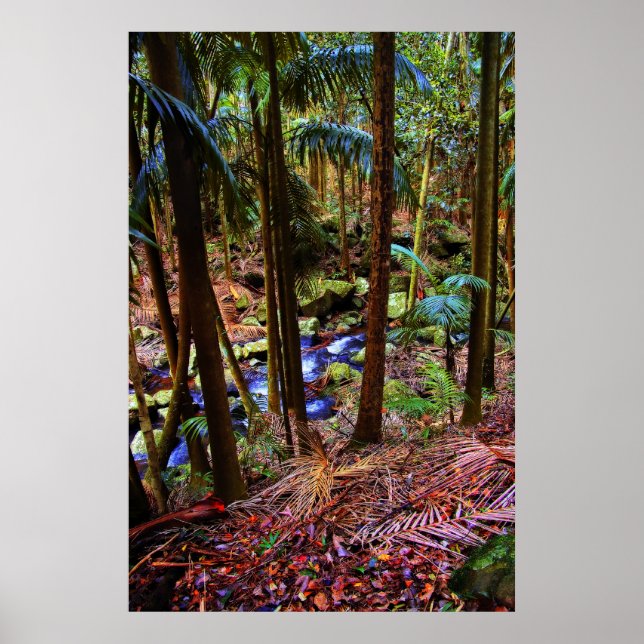 Australian Rainforest Poster (Front)