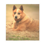 Australian Red Cattle Dog Notepad