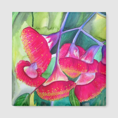 Australian Red flowering Gumnuts watercolor art Magnet