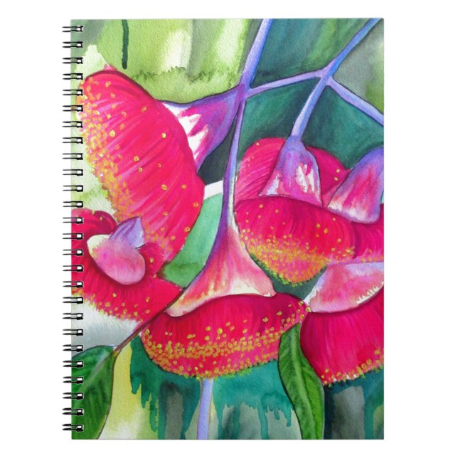 Australian red flowering gumnuts watercolor art notebook (Front)