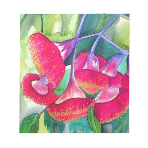 Australian red flowering gumnuts watercolor art notepad