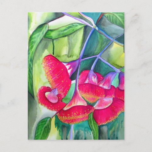 Australian red flowering gumnuts watercolor art postcard