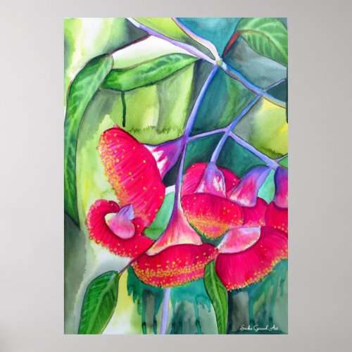 Australian Red flowering gumnuts watercolor art Poster