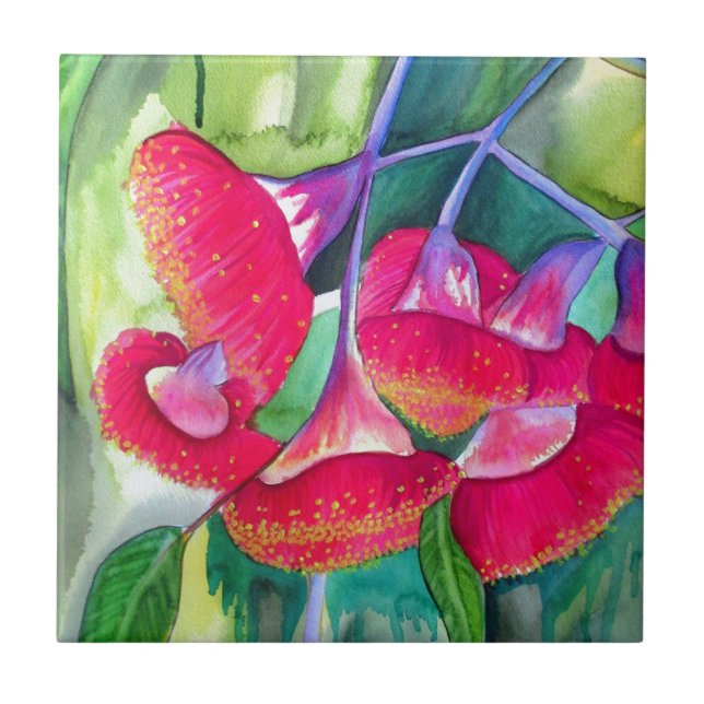 Australian red flowering gumnuts watercolor art tile (Front)