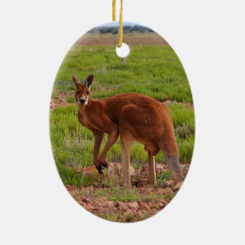 Australian red kangaroo ornament