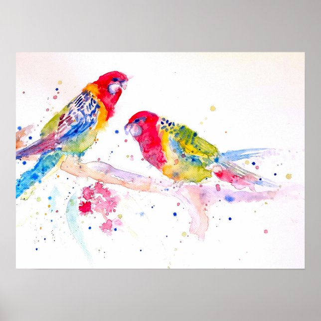 Australian Rosella Parrot Watercolour art Poster (Front)
