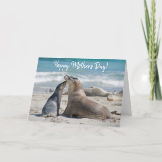 Australian Sea Lion and cute Baby, Mother's Day