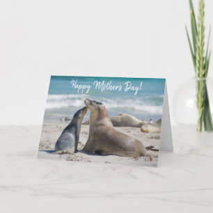 Australian Sea Lion and cute Baby, Mother's Day Card
