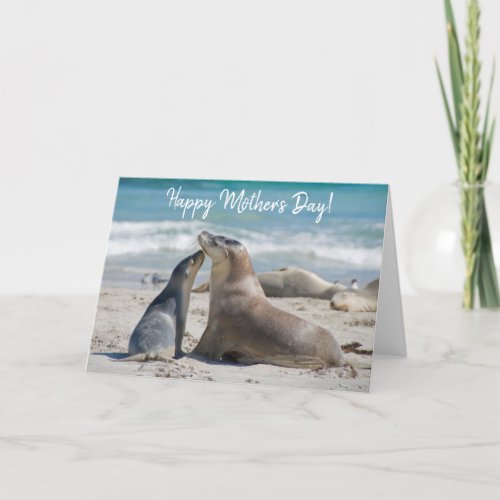 Australian Sea Lion and cute Baby Mothers Day Card