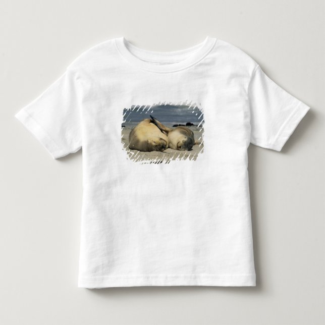Australian Sea Lions, Neophoca cinerea), Toddler T-shirt (Front)
