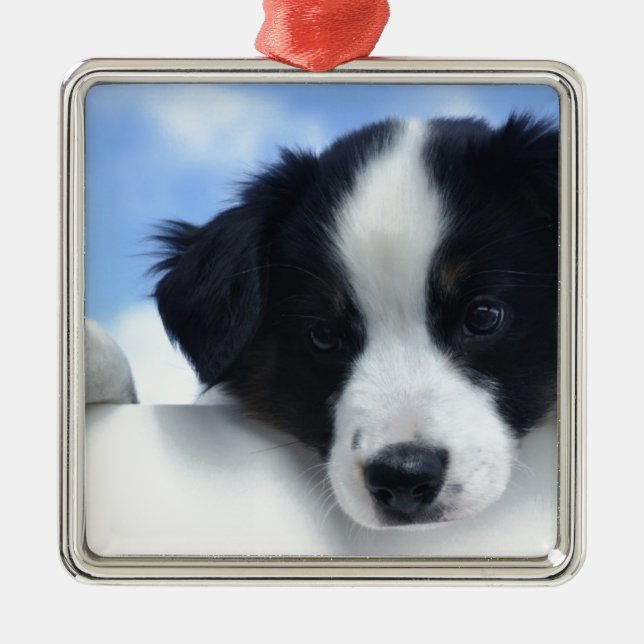 Australian Sheepdog Puppy Metal Ornament (Front)
