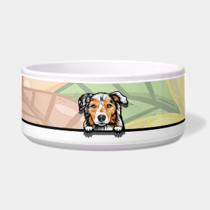 Australian sheherd, food or drink bowl