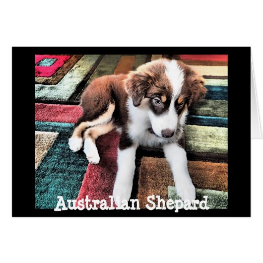 Australian Shepard Puppy Make Your Own Custom (Front Horizontal)