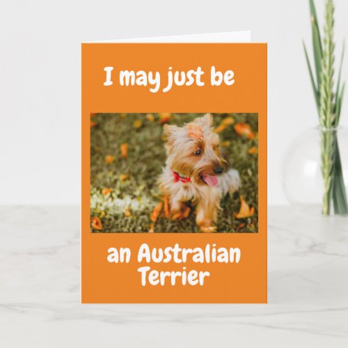 AUSTRALIAN SHEPARD SAYS HAPPY 60th Card