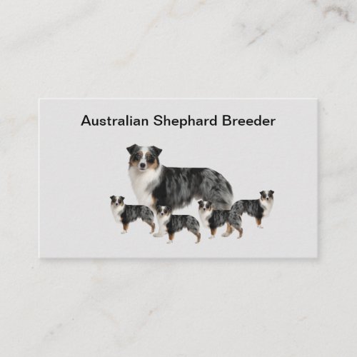 Australian Shephard Dog Breeder Business Cards 