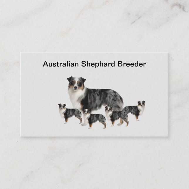 Australian Shephard Dog Breeder Business Cards  (Front)