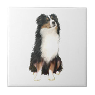 Australian Shepherd (A) - Tri Color Ceramic Tile