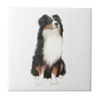 Australian Shepherd (A) - Tri Color Ceramic Tile