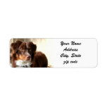 Australian Shepherd Address Labels