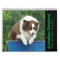 Australian Shepherd Agility 18 Month Wall Calendar