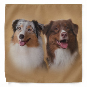 aussie bandana