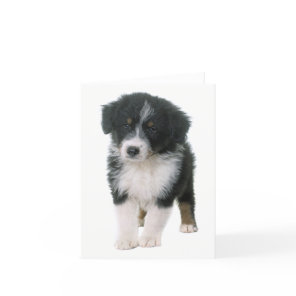 Australian Shepherd Aussie Puppy Dog  Hello Love Card
