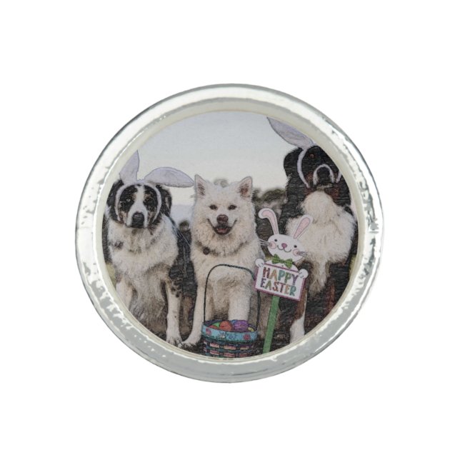 Australian shepherd, Aussie, Shepherd Ring (Front)