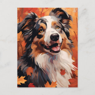 Australian Shepherd Autumn Thanksgiving Postcard