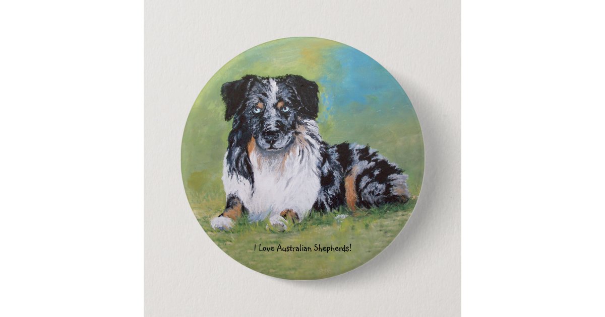 Australian Shepherd Beautiful Blue Merle Pinback Button Zazzle