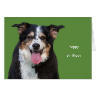 Australian Shepherd Birthday Cards | Zazzle