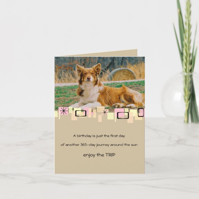 Australian Shepherd Birthday Greeting Card (Front)