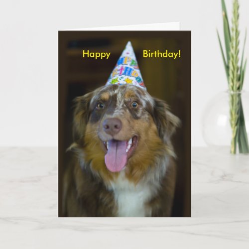 Australian Shepherd Birthday Party Dog Card