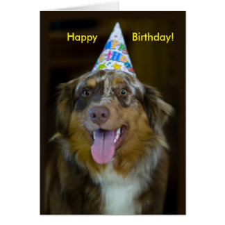 Australian Shepherd Birthday Greeting Cards | Zazzle