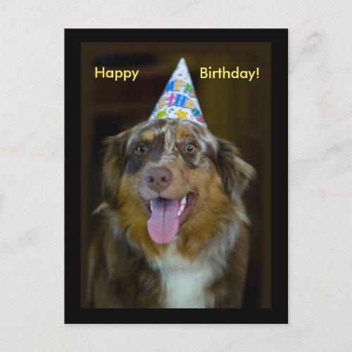 Australian Shepherd Birthday Party Dog Invitation Postcard
