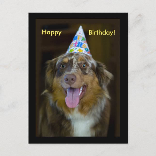 Australian Shepherd Birthday Party Dog Invitation Postcard (Front)