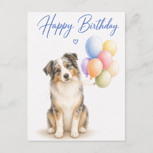 Australian Shepherd Birthday Postcard