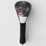 australian shepherd black tri golf head cover