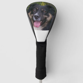 australian shepherd black tri golf head cover