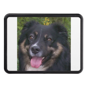 australian shepherd black tri hitch cover
